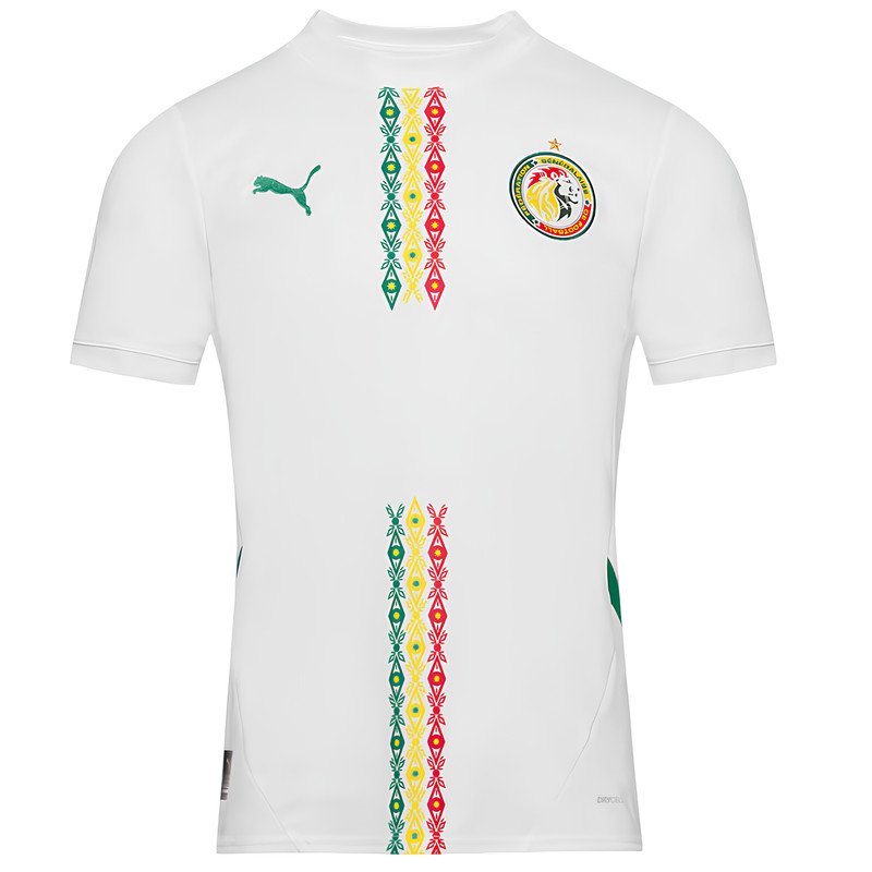 Senegal Trikot 2025/2026 Heim