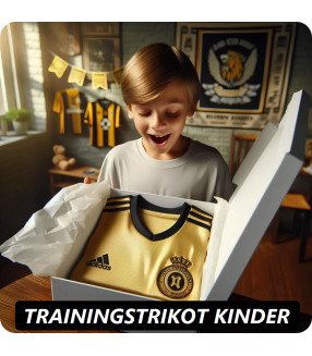 Das Mysterie Kinder Fußballtrikot – 2024/2025